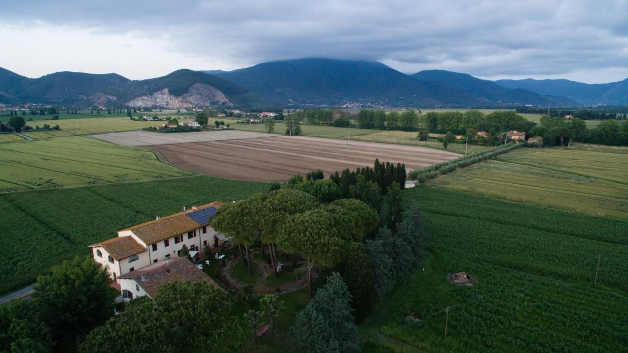 Podere Magnolia Пиза Экстерьер фото